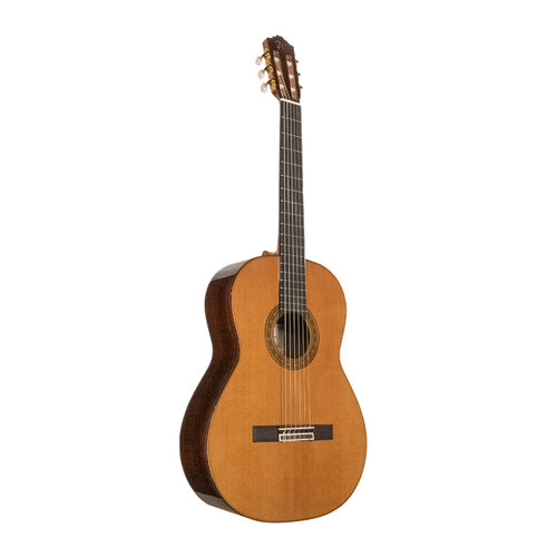 Guitarra Clásica Jtc-200 Jose Torres