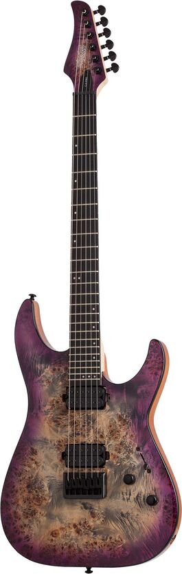 C-6 Pro  Arb Schecter
