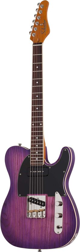 Pt Special  Pbp Schecter