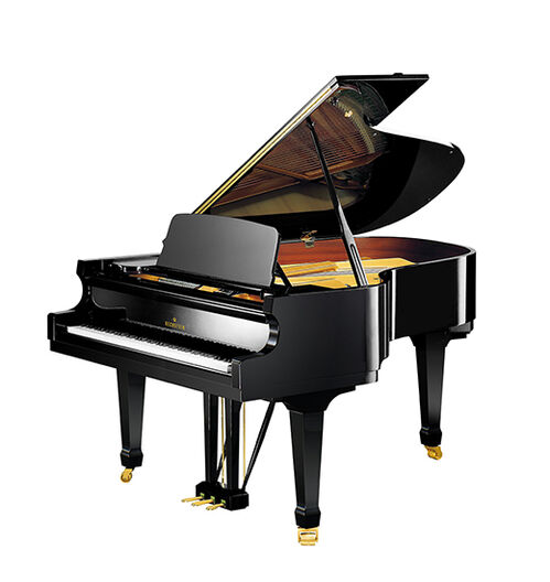 Piano Academy A 190 Negro Bechstein
