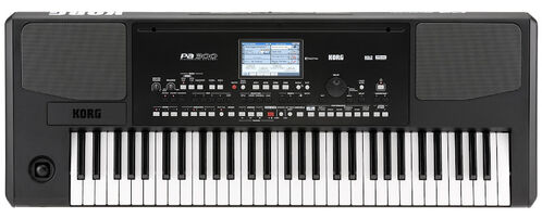 Korg Teclado de Acompañamiento con Altavoces pa300