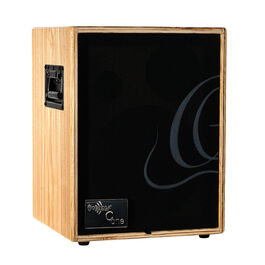 Ortega Amplificador para Guitarra Acustica Combocone-Ash