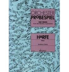 Orchester Probespiel Harpe Didáctica