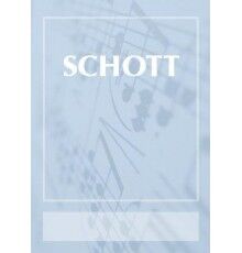 Concerto A minor Op.3/8 RV 522/ Red.