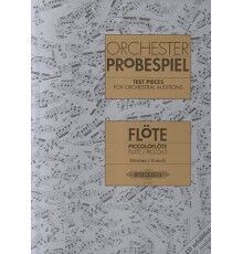 Orchester Probespiel. Flute/Piccolo