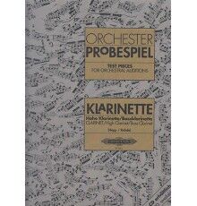 Orchester Probespiel. Klarinette