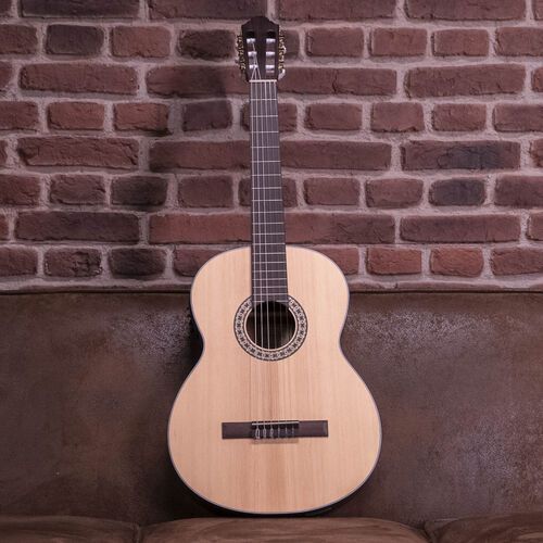 Walden Guitarra Clásica con Previo Wan550ew Natura 500