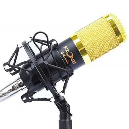 Kit Microfona F-Zone BM-800