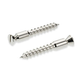 Floyd Rose Schaller Tornillo Pivote A Cromado 20430200