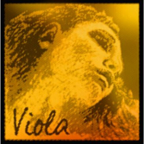 Cuerda 2ª Pirastro Viola Evah Pirazzi Gold 323221 Nucleo Acero Cromo