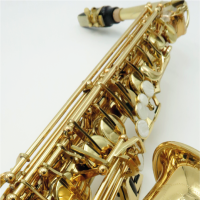 Saxo Alto Boehm Study Lacado