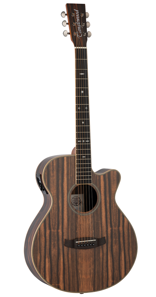 Guitarra Acústica Tanglewood Super Folk Trsfceaeb
