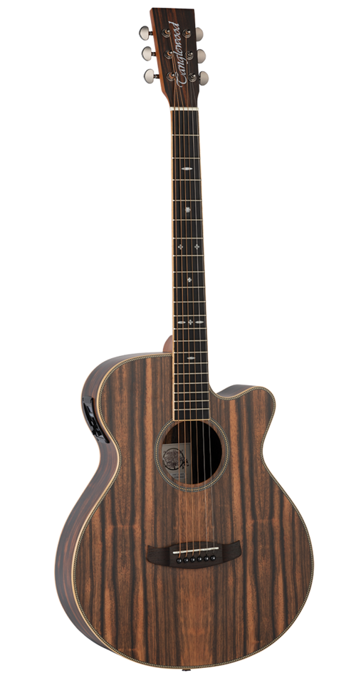 Guitarra Acstica Tanglewood Super Folk Trsfceaeb