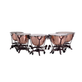Timbal Philharmonic 29'cob Cam Adams