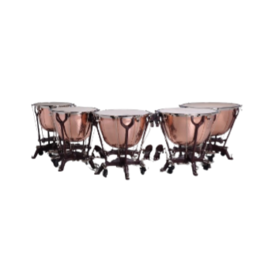 Timbal Philharmonic 32'cob Cam Adams