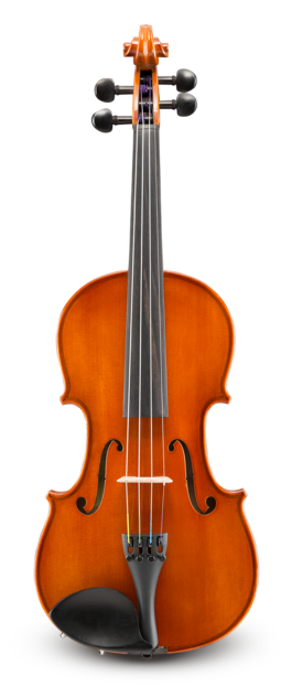 Violín Eastman 4/4 VL5044SBC Student Montado Estuche y Arco