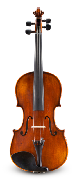 Violín Eastman 4/4 VL30544 Performance