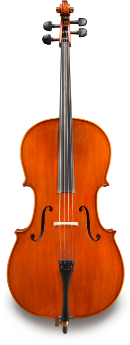 Violonchelo Eastman 1/2 VC17012 Student Montado Estuche y Arco