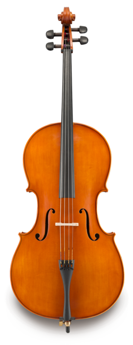 Violonchelo Eastman 1/2 VC25012SBC Performance Montado Estuche y Arco