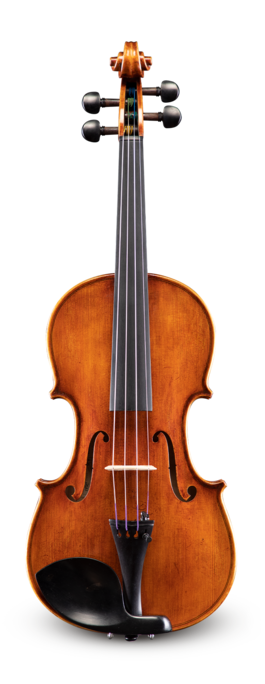 Viola Eastman 15 VA830P15 830 Series