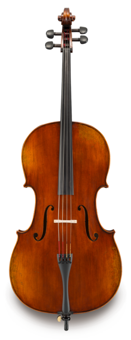 Violonchelo Eastman 4/4 VC40144 Performance