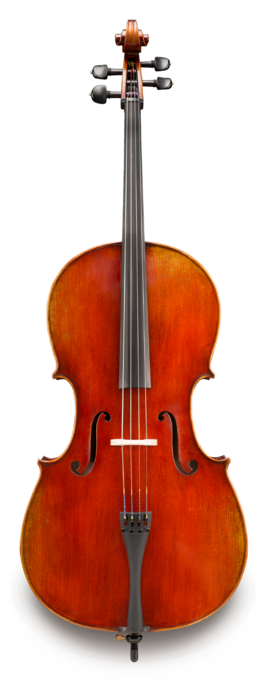Violonchelo Eastman 4/4 VC60544 Performance