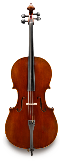 Violonchelo Eastman 4/4 VC70144G Professional