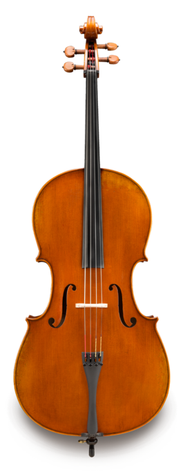Violonchelo Eastman VC2AA Amsterdam Atelier Series Violonchelo Eastman VC2AA Amsterdam Atelier Series
