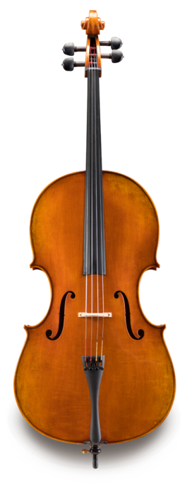 Violonchelo Eastman 3/4 VC70234G Professional