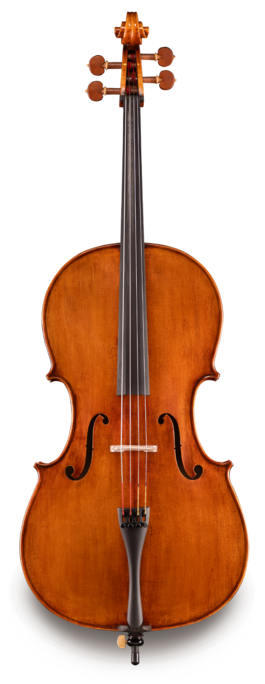 Violonchelo Eastman 4/4 VC92844 Professional