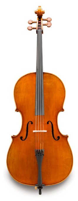 Violonchelo Eastman VC3AA Amsterdam Atelier Series Violonchelo Eastman VC3AA Amsterdam Atelier Series
