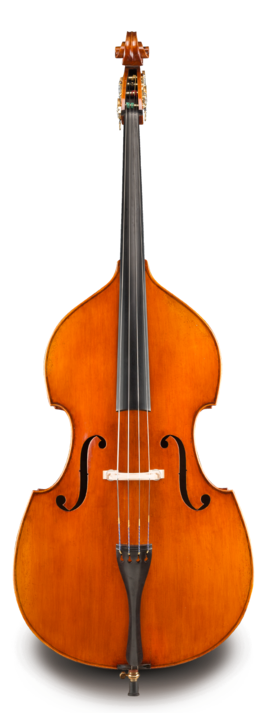 Contrabajo Eastman 3/4 VB92834 Professional