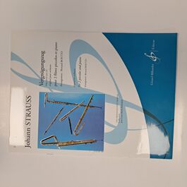 Vergnügungszug