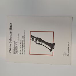 Sonata in A minor according to BWV 528