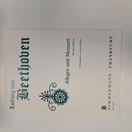 Allegro Und Menuett Für Zwei Flöten Flauta Travesera