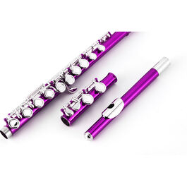 Flauta Travesera Taylor Collins TCFL-538PK Platos cerrados Rosa