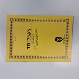 Concerto for Flute, Strings and Basso Continuo E minor