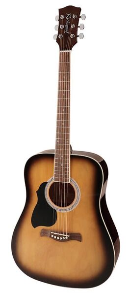 Guitarra Acústica Dreadnought Richwood Zurda Sunburst