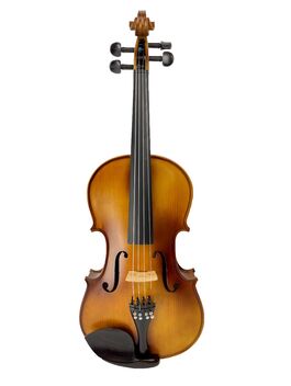 Viola Amadeus De 12