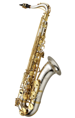 Saxo Tenor Yanagisawa T-WO37