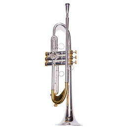 Trompeta Taylor Collins TCTR-069H Plateada con pistones Monel en Sib