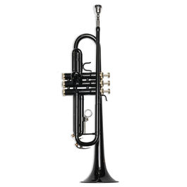 Trompeta Taylor Collins TCTR-09 BK Negra