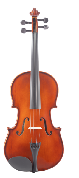 Viola Amadeus Vlf15
