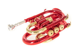 Bb-Trompeta Pocket Roy Benson PT-101R