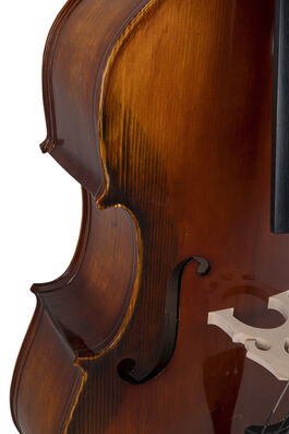 Contrabajo Basic Line  Versión semi-maciza 4/4