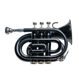 Trompeta  Pocket Taylor Collins TCPTR-13 BK Negra en Sib