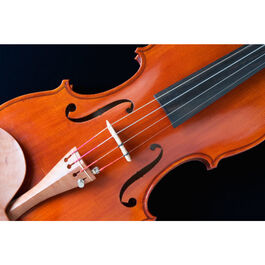 Juego Cuerdas Violín Popular G-105/1/8