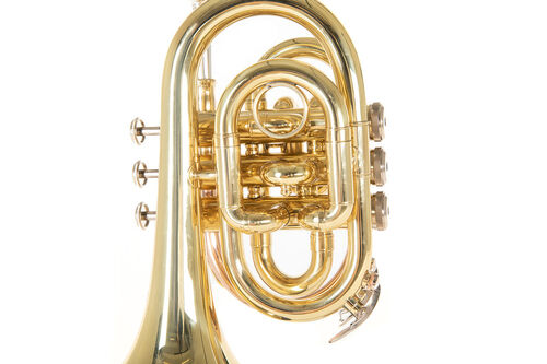 Trompeta Pocket Roy Benson PT-101 Sib