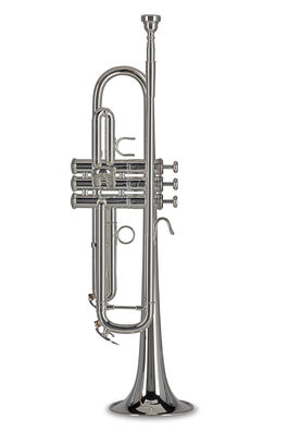Trompeta Sib TR172S Vision Plateada Gewa