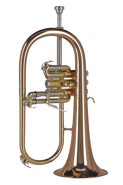 Fliscorno Sib FH501 Ambition Gewa